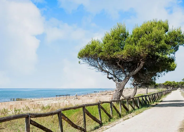 빌라 Semi-detached In A Area 비비오네